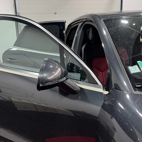 R-skin-covering-chrome-delete-7