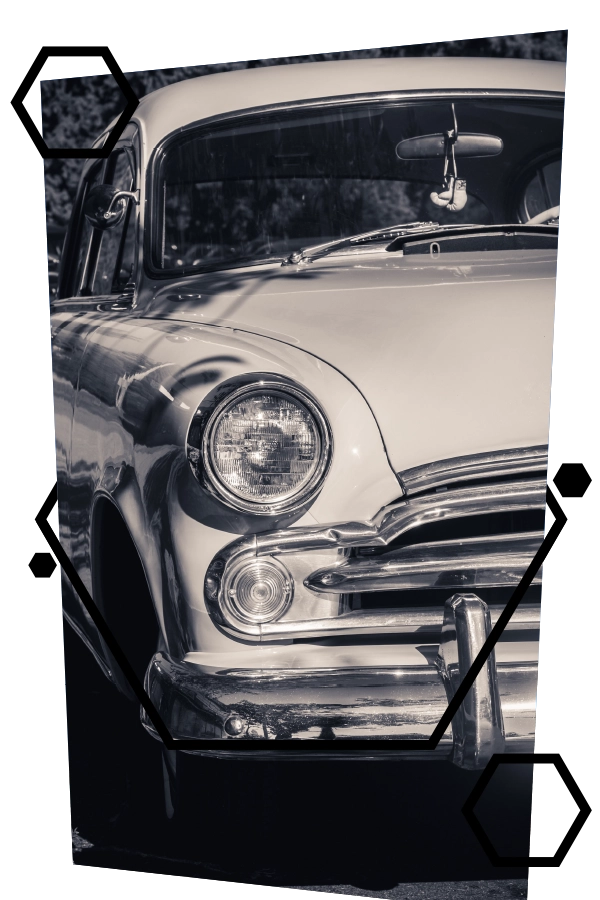 R-skin-covering-collection-ppf