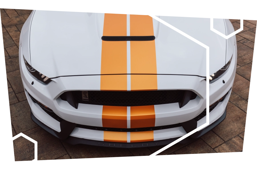 R-skin-covering-partiel-1